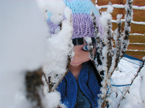 Hiding in the Snow