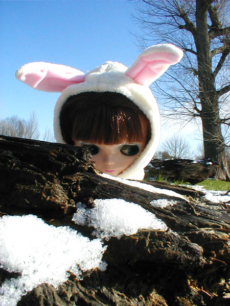 Snow Bunny Blythe