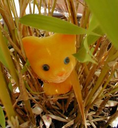 Miniature Asian Cat Frolicks in the Bamboo