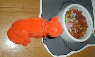 Nodding Cats Will Steal Food When Hungry